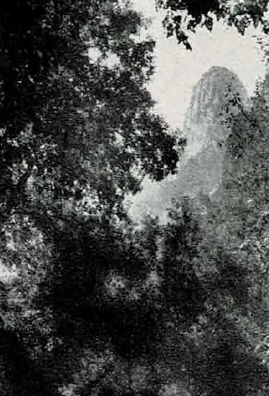 Canyon view with trees from page 13 of the original brochure