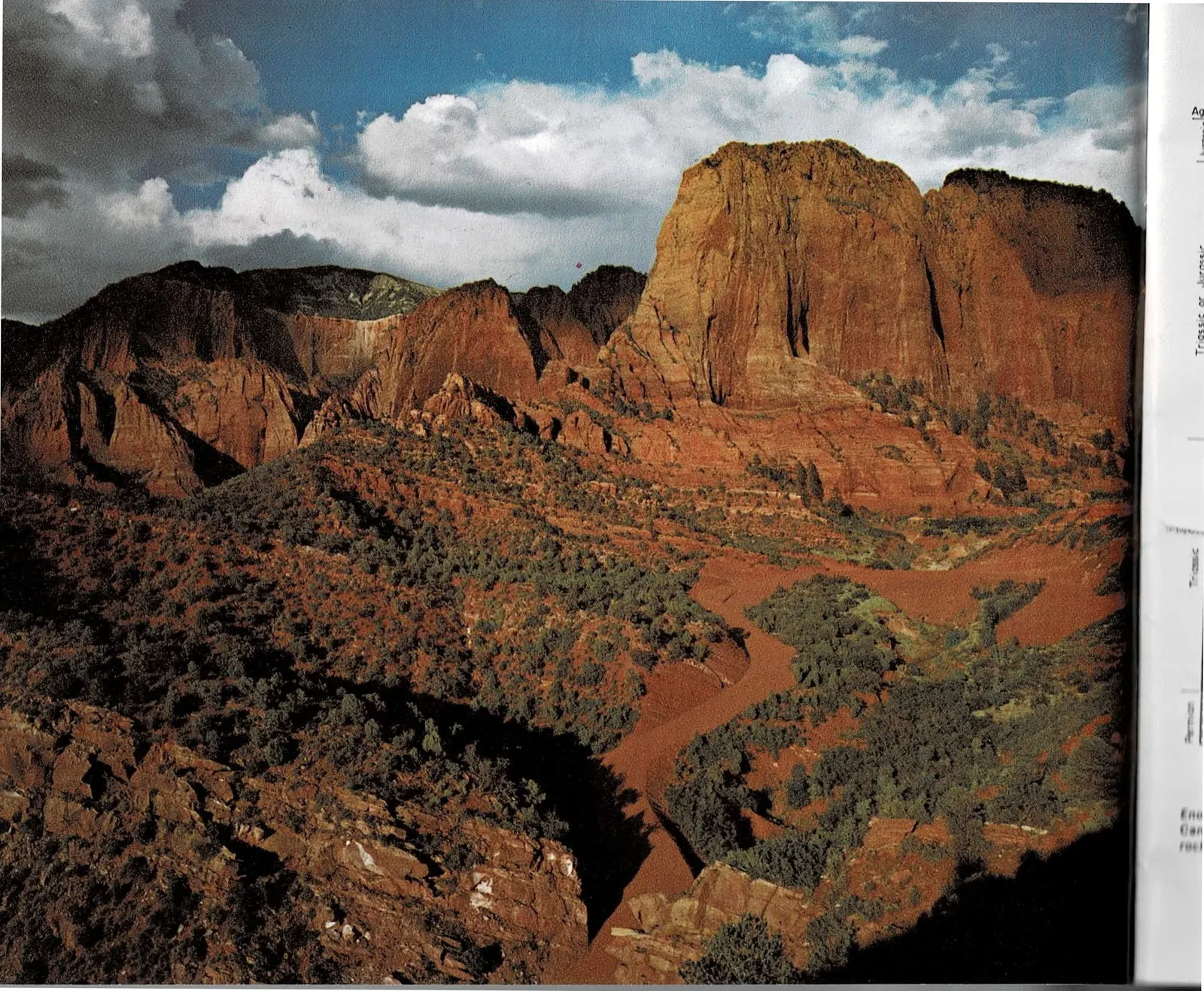 A two-page spread: at left, a full-bleed color photograph of the Kolob Finger Canyons, tall vertical red sandstone prows and a butte lit gold under a partly cloudy sky, with green pinyon-juniper slopes and a canyon wash below; at right, a labeled cross-section diagram titled Rock Formations of Zion National Park, stacking named rock layers from the Kaibab Formation up through the Navajo Formation to the Carmel Formation, beside a color photograph of Bear Trap Canyon, a narrow, tree-shaded slot canyon.