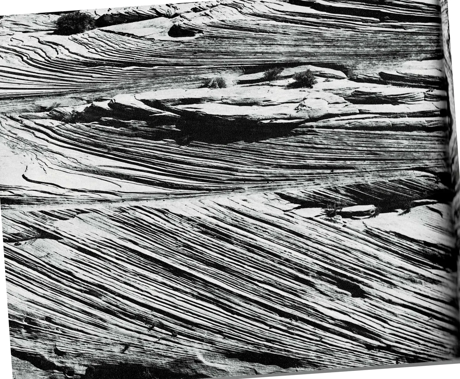 A single continuous full-bleed black and white photograph spanning both pages: a close, steep view of crossbedded Navajo Sandstone, dozens of thin diagonal laminations sweeping across the rock face like frozen currents, meeting at a matching angle across the gutter. No text, captions, or page numbers are printed on either page.
