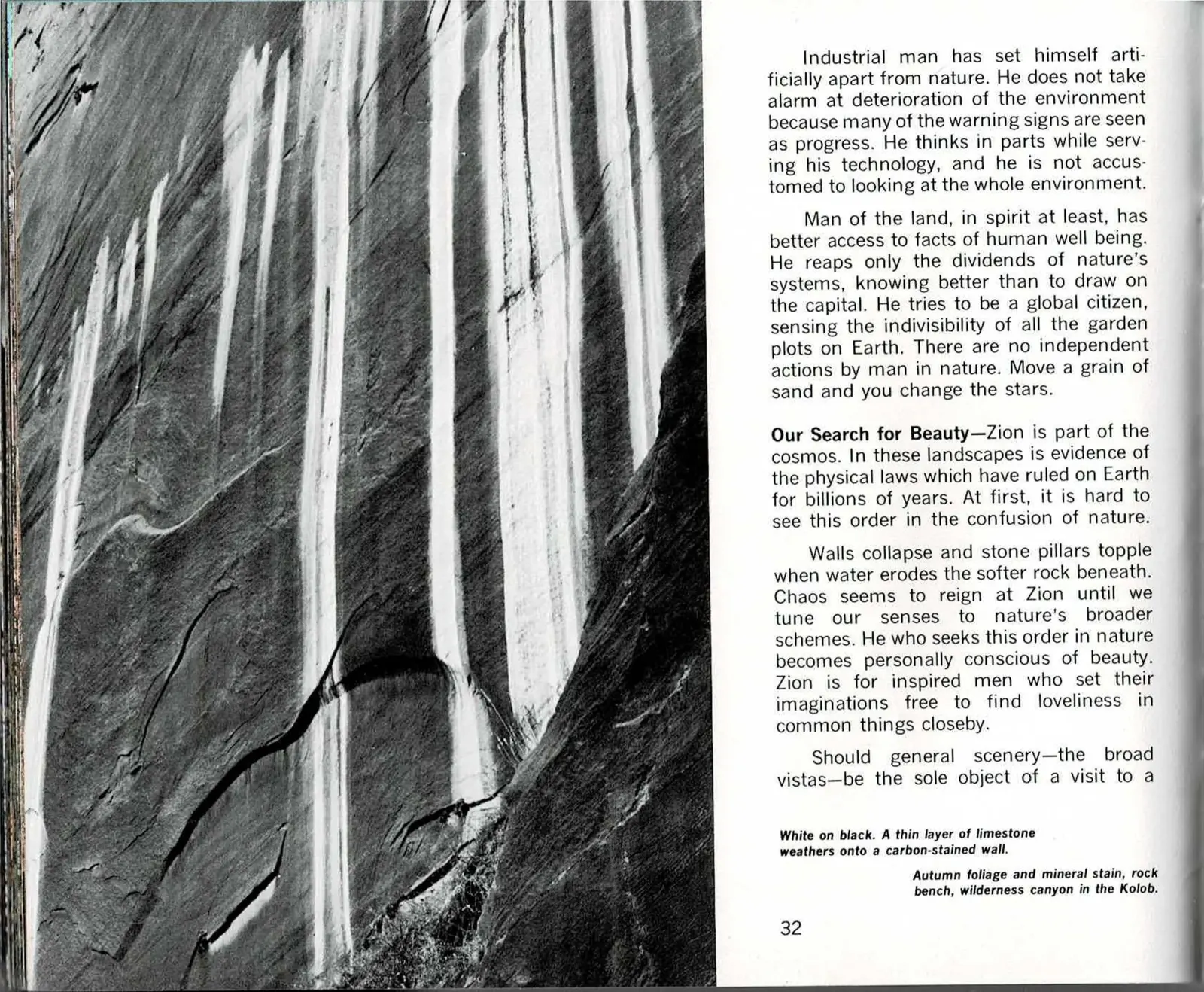 A two-page spread: at left, a full-bleed black and white photograph of a near-vertical sandstone wall streaked with pale mineral deposits against a dark, carbon-stained surface, thin white lines running like water trails down the rock; at right, a text column that finishes one argument, opens another under the run-in subhead 'Our Search for Beauty,' and faces a full-bleed color photograph of a red sandstone cliff streaked white with mineral seep, framed by dense green conifers and orange autumn foliage along its base.