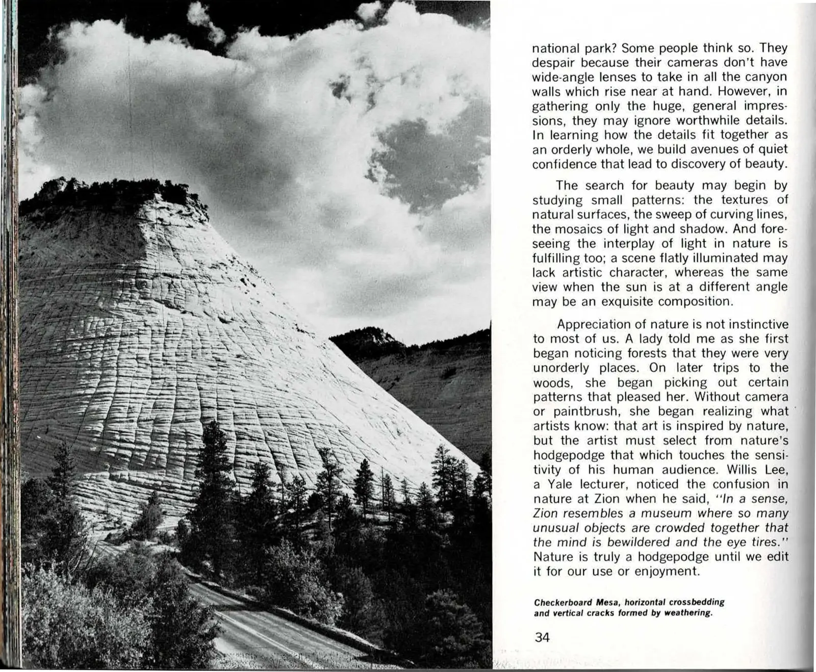 A two-page spread: at left, a text column above a full-bleed black and white photograph of Checkerboard Mesa, its crossbedded sandstone face cut by vertical weathering cracks into a grid pattern, conifers along its base and cumulus clouds filling the sky above; at right, a full-bleed black and white close-up of hundreds of small spherical iron concretions embedded in a sandstone matrix, above a text column that opens 'Beauty exists only in the individual mind' and turns, under the run-in subhead 'Beauty in Stone,' to Part One's closing argument.