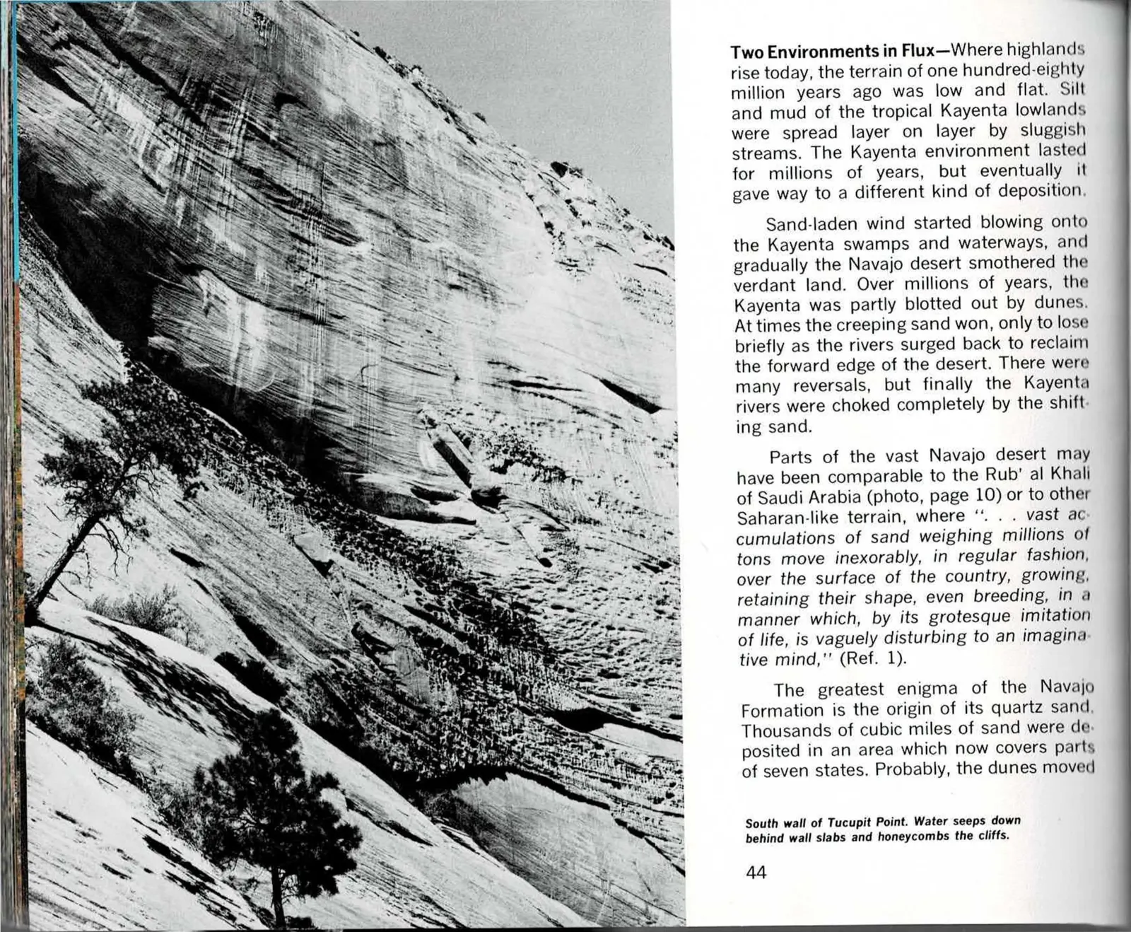 Black-and-white photograph of a steep, streaked sandstone wall with a lone pine tree in the foreground on the left page, facing a printed text column and a color photograph of a large sandstone alcove wall with pale mineral streaks and a patch of blue sky on the right page.
