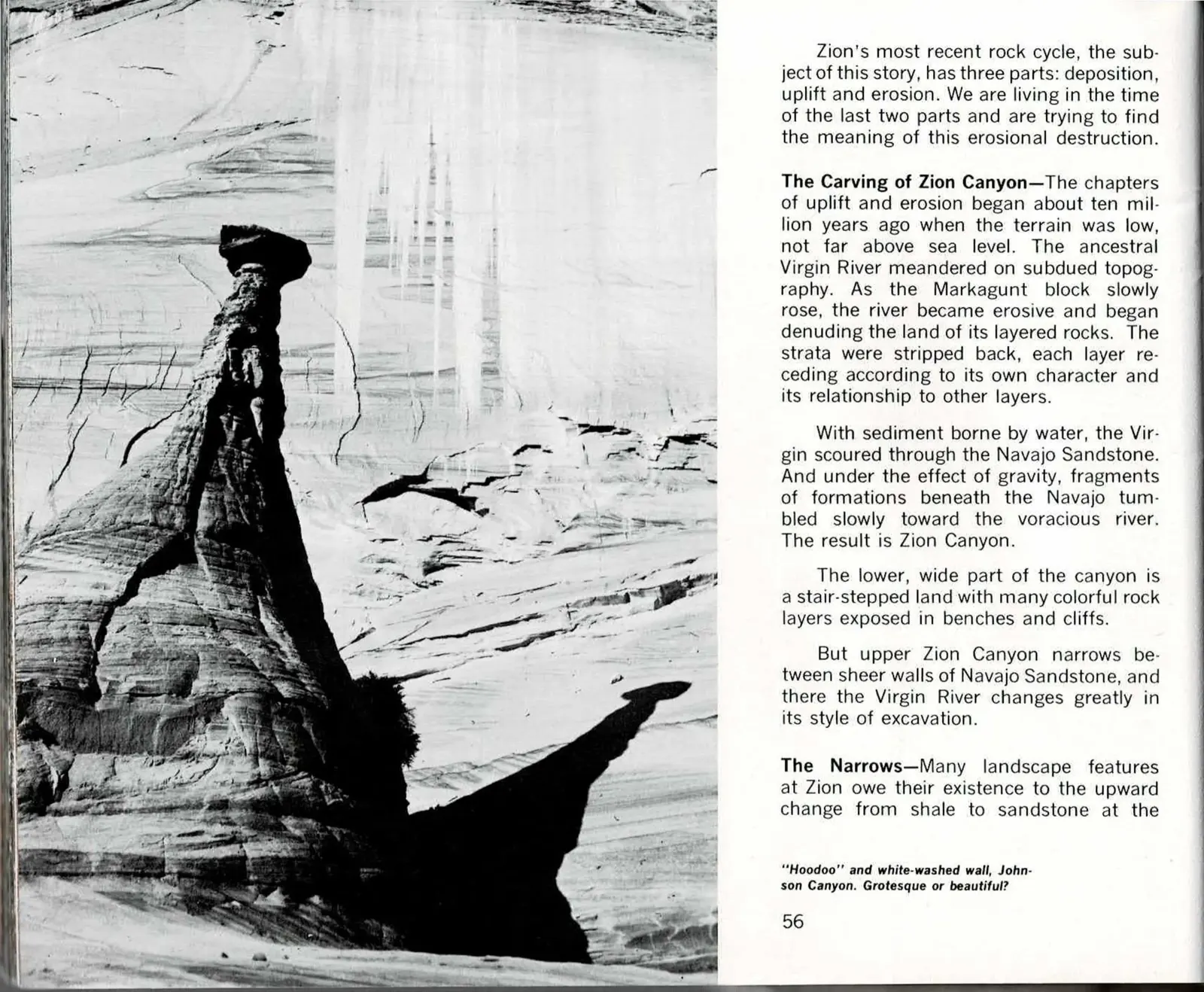 Black-and-white and color spread with printed text columns for page 56, including the run-in heading The Carving of Zion Canyon, above a black-and-white photo of a dark hoodoo silhouetted against a pale, streaked cliff wall in Johnson Canyon, facing printed text continuing on page 57 above a color photo of a hiker standing beside a tall banded sandstone pillar ringed with dark, iron-rich boulders.