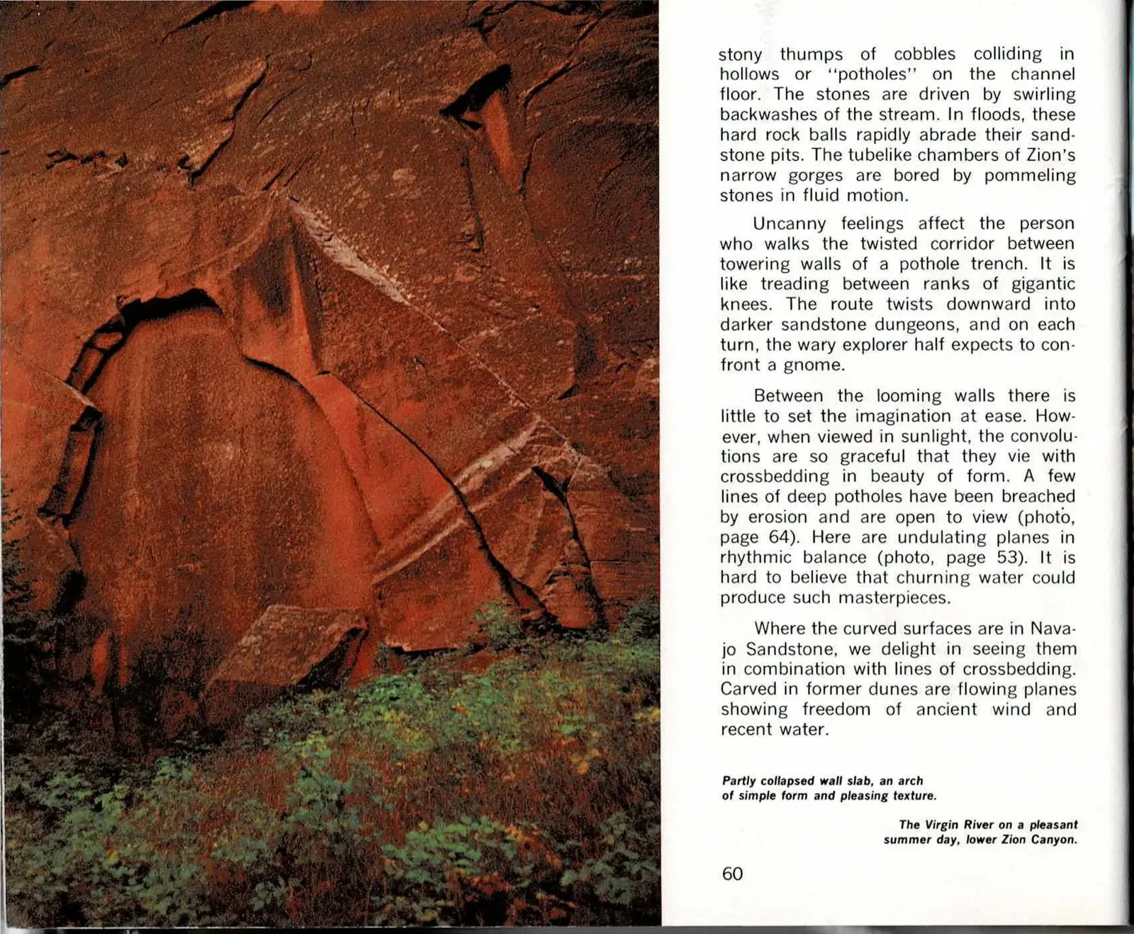 Color spread with printed text columns for page 60, continuing a sentence broken across the photo-only page 59, above a color photo of a deep red sandstone alcove with a partly collapsed, arch-shaped wall slab and a band of green vegetation along its base, facing a full-bleed color photo on page 61 of the Virgin River valley lined with cottonwoods beneath a red sandstone peak.