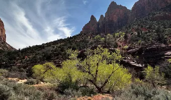 Two bighorn sheep rams on red sandstone, Zion National Park