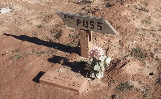Handmade grave marker for infant Puss Dunne at Grafton cemetery, born 1887