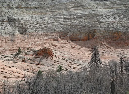 Undulating layered sandstone texture on Zion's east side