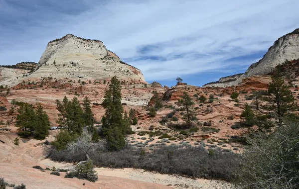 East Rim - Zion National Park