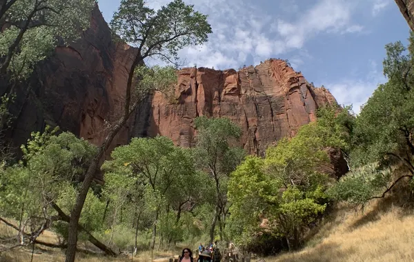 Hikers on a paved canyon trail with wooden rail fences below red cliffs in Zion