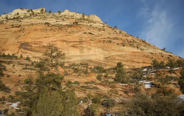 East Rim - Zion National Park