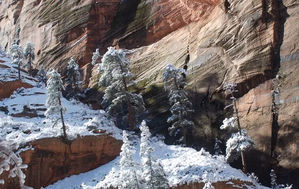 Angels Landing, Zion National Park