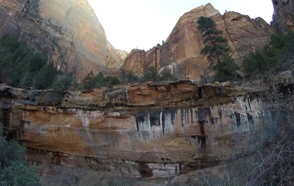 Dark water-streaked sandstone alcove wall at Weeping Rock in Zion Canyon