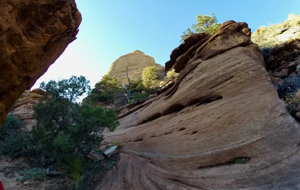 Sculpted sandstone striations along the slickrock ledges of the Canyon Overlook Trail