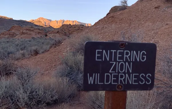 Southwest Desert - Zion National Park