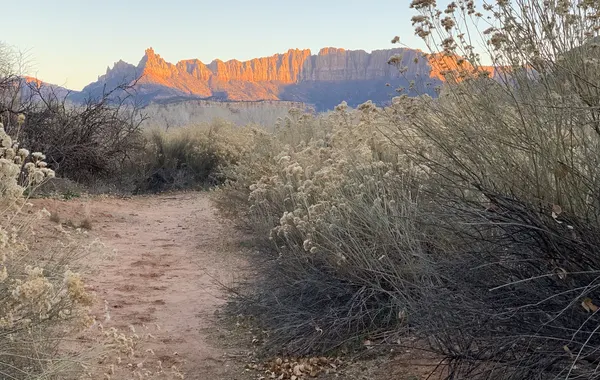 Southwest Desert - Zion National Park