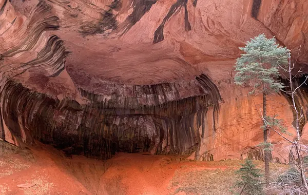 A dramatic streaked sandstone alcove ceiling above the Emerald Pools trail in Zion