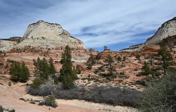 Pale sandstone domes above red slickrock and scattered pines on Zion's east side