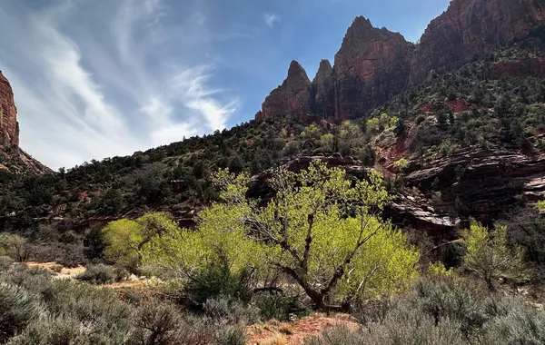 East Rim - Zion National Park