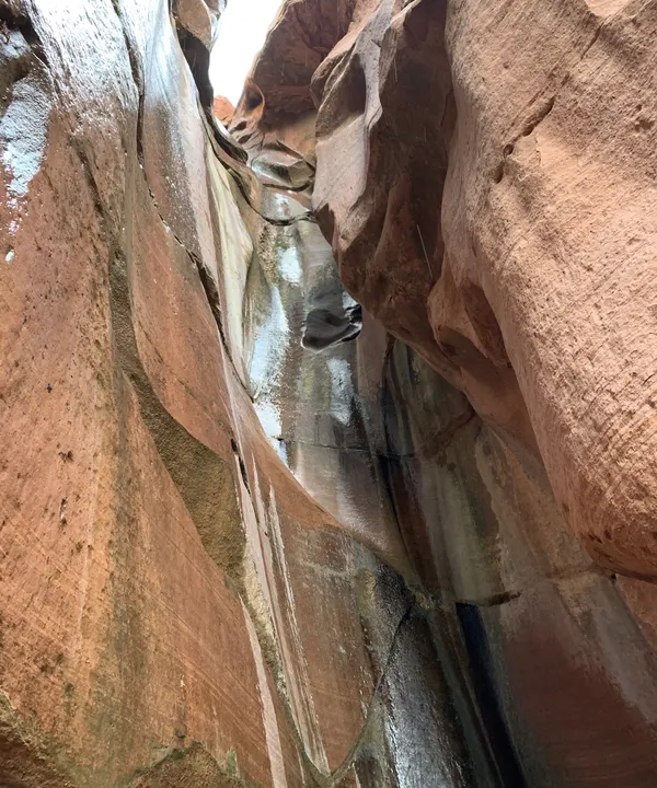 Zion National Park