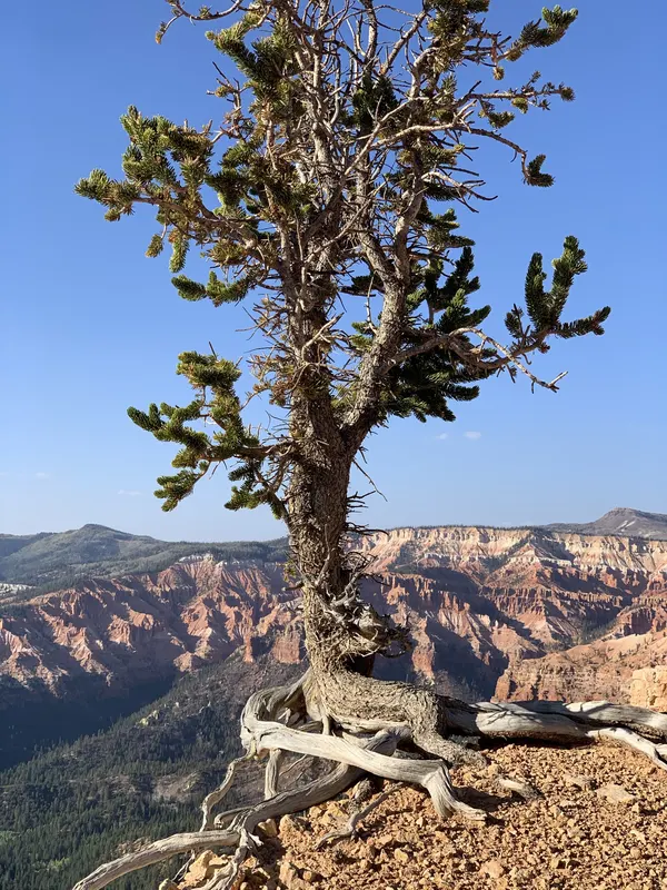 Zion region photography - Backcountry