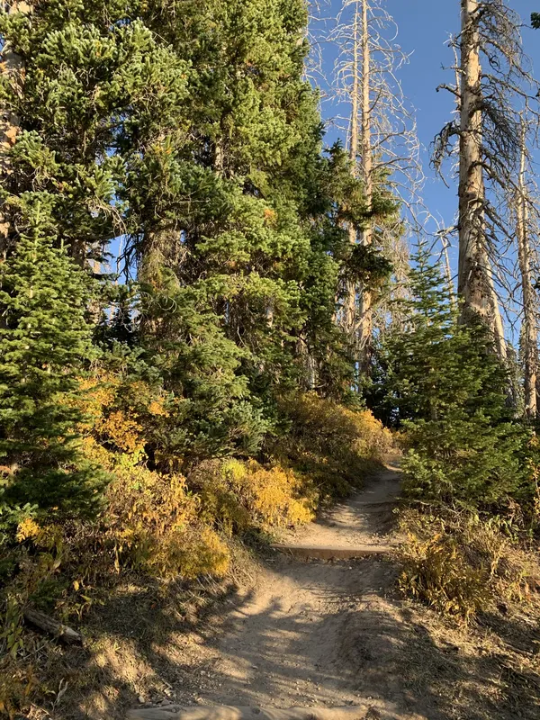 Zion region photography - Backcountry