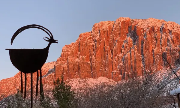 Zion region photography - Winter & Snow