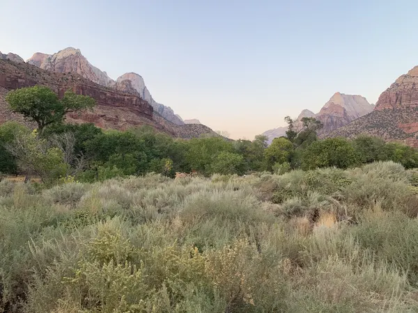 Zion region photography - Zion Canyon