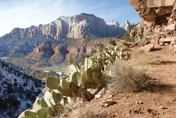 Zion region photography - Winter & Snow