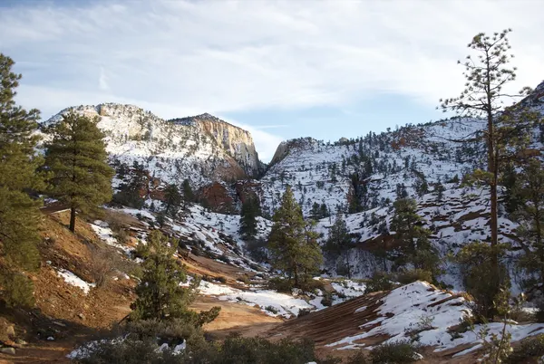 Zion region photography - Winter & Snow