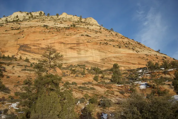 Zion region photography - Winter & Snow