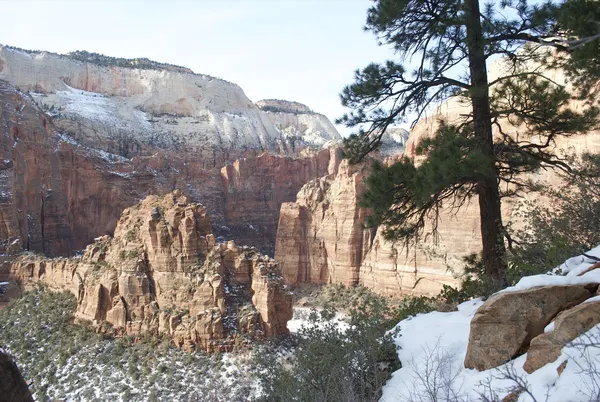 Zion region photography - Winter & Snow