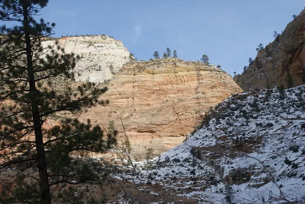 Zion region photography - Winter & Snow