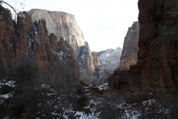 Zion region photography - Winter & Snow