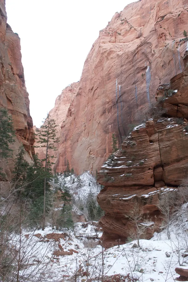 Zion region photography - Winter & Snow