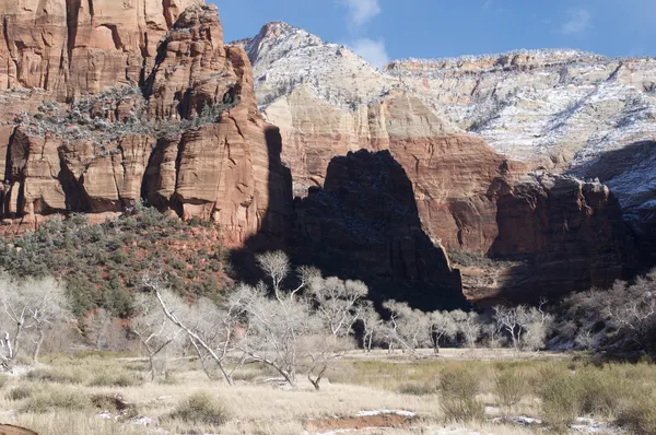 Zion region photography - Winter & Snow
