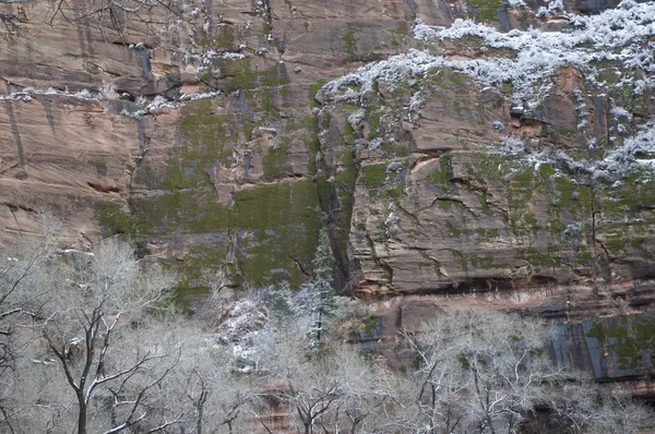 Zion region photography - Winter & Snow