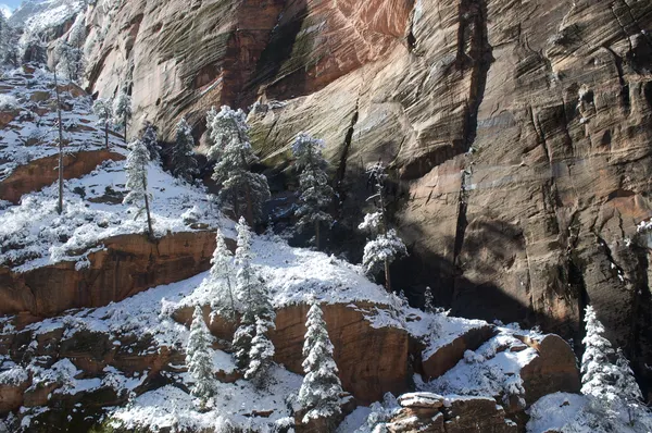 Zion region photography - Winter & Snow