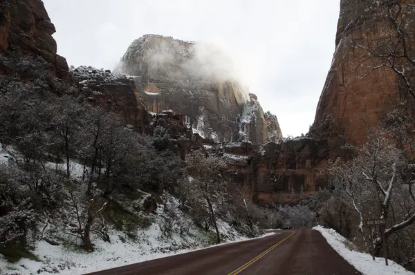 Zion region photography - Winter & Snow