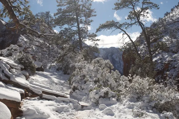 Zion region photography - Winter & Snow