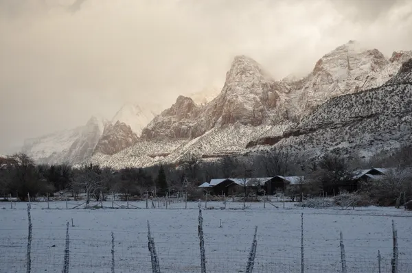 Zion region photography - Winter & Snow