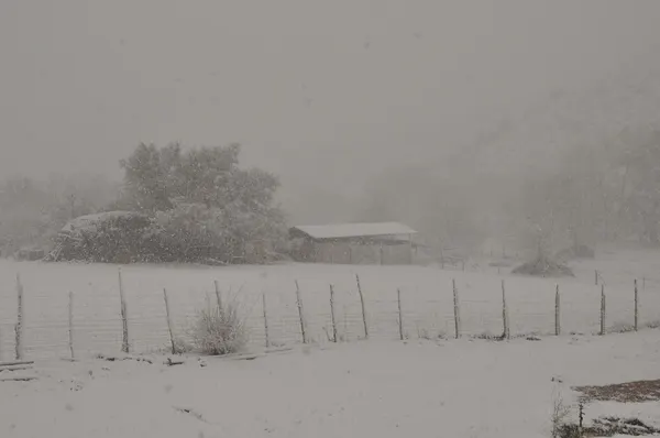 Zion region photography - Winter & Snow