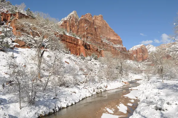 Zion region photography - Winter & Snow
