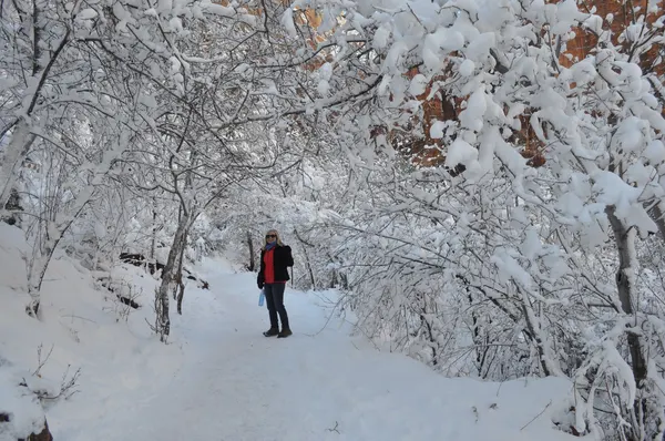 Zion region photography - Winter & Snow