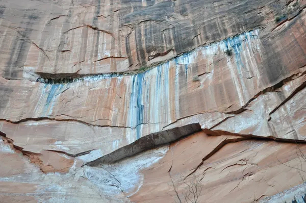 Zion region photography - Winter & Snow