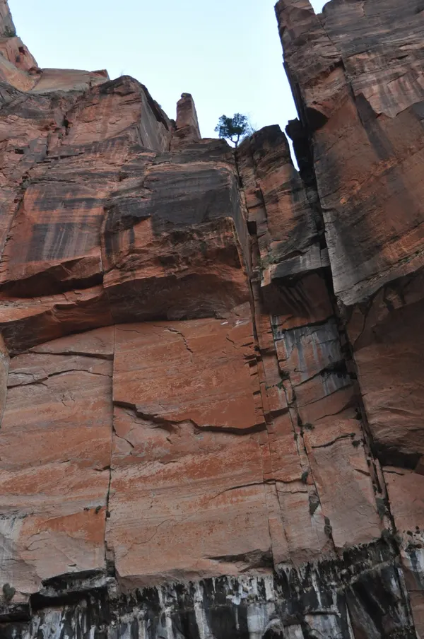 Zion region photography - Winter & Snow