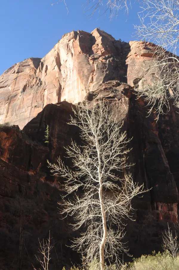 Zion region photography - Winter & Snow