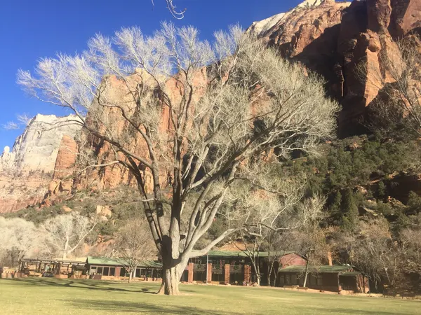 Zion region photography - Winter & Snow