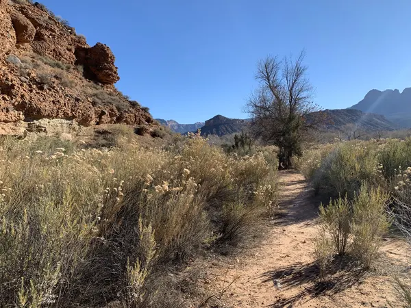 Zion region photography - Winter & Snow