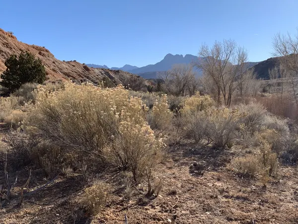 Zion region photography - Winter & Snow