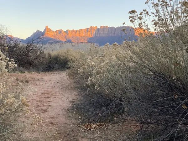 Zion region photography - Winter & Snow